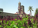 A glimpse of the campus and a walk into the nature's paradise....University of Pune.