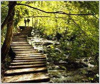 Trail Path - Amenities in Viva